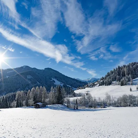 Brunner Near The Markbachjoch Cable Car