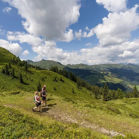 Brunner Near The Markbachjoch Cable Car * Wildschoenau